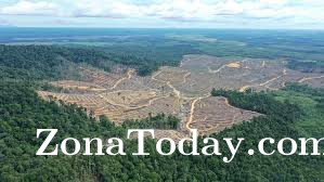zona-today-deforestasi-sumatra_2025.jpg