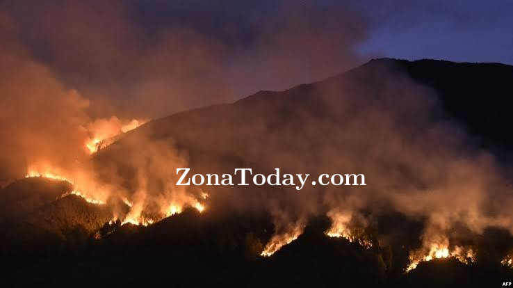 zona-today-kebakaran-bromo-2026.jpg