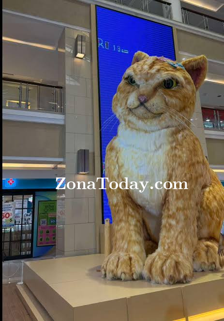 zona-today-kucing-raksasa-yogyakarta.jpg